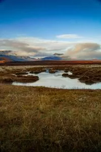 Os humanos podem viver no clima da tundra?