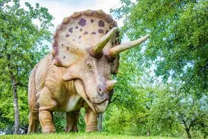 5 animais característicos do Mesozóico - Triceratops