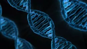 ramos da biologia DNA