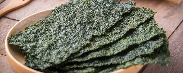 alga comestível nori