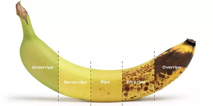 Características e propriedades da banana
