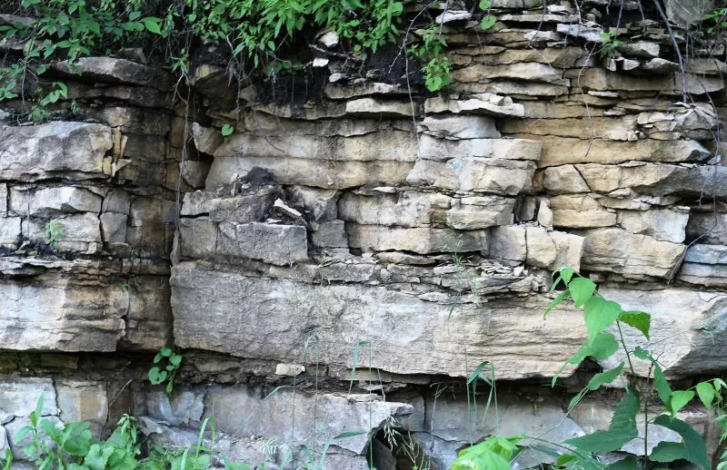 rochas sedimentares