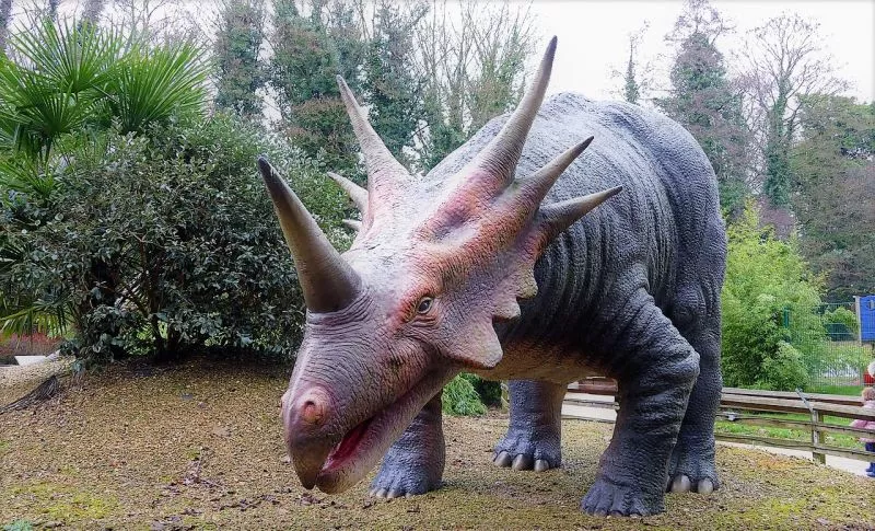 Triceratops Características, alimentação, traços, defesa Dinossauro