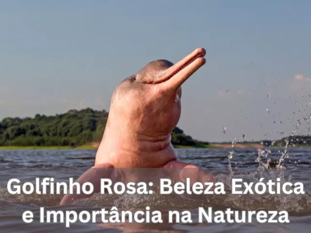 golfinho rosa exotico
