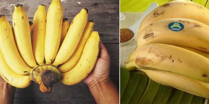 propriedades e composição da banana