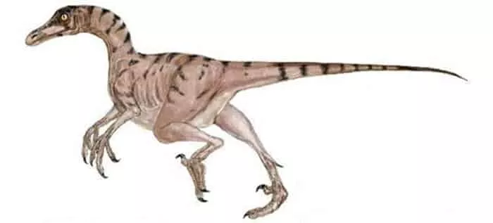 Troodon Dinossauro Mesozóico Cretáceo Desenho Realista Imagem